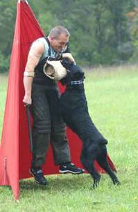 schutzhund protection